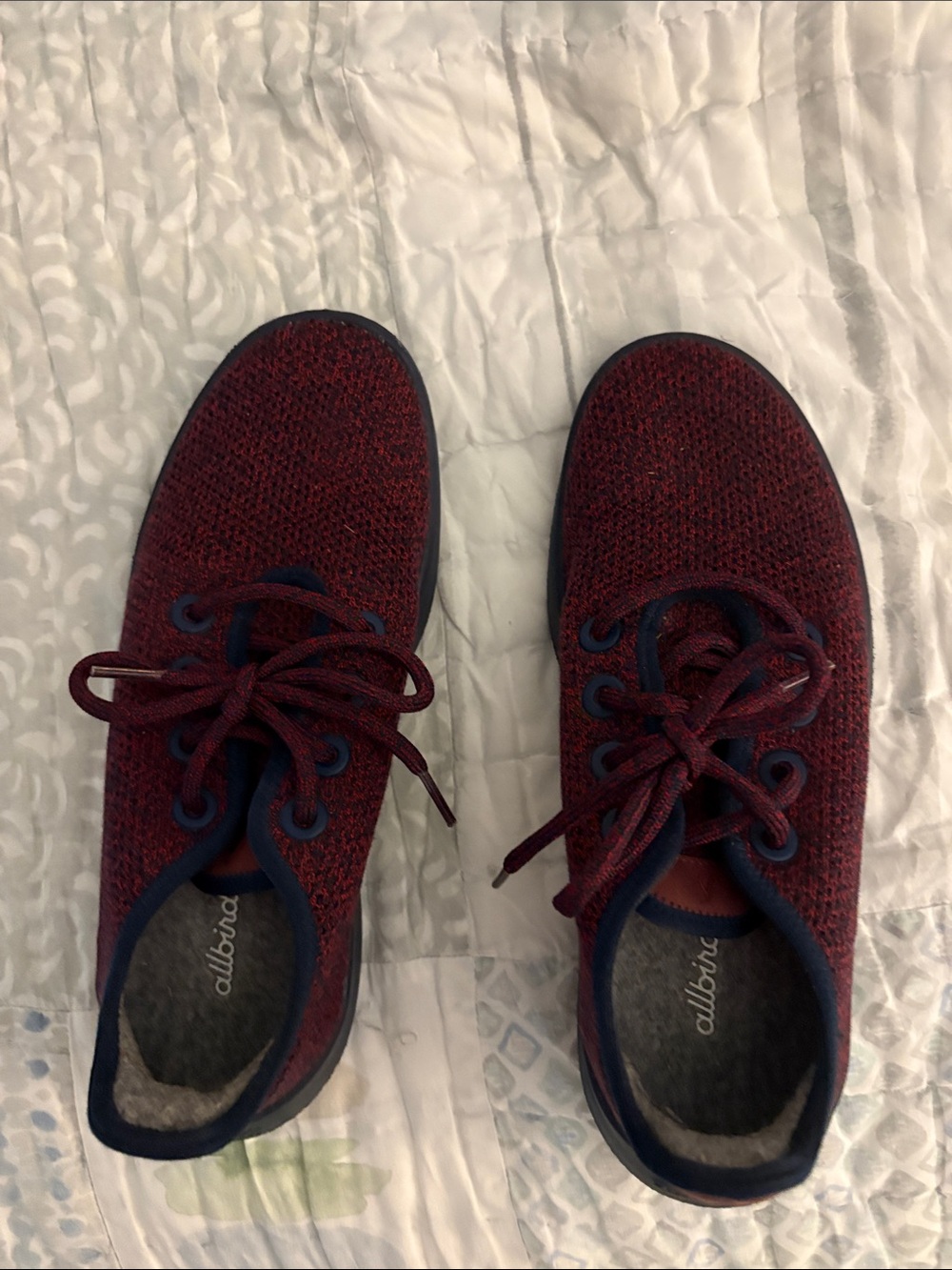 allbirds Maroon Wool Knit Sneakers with Navy Trim
